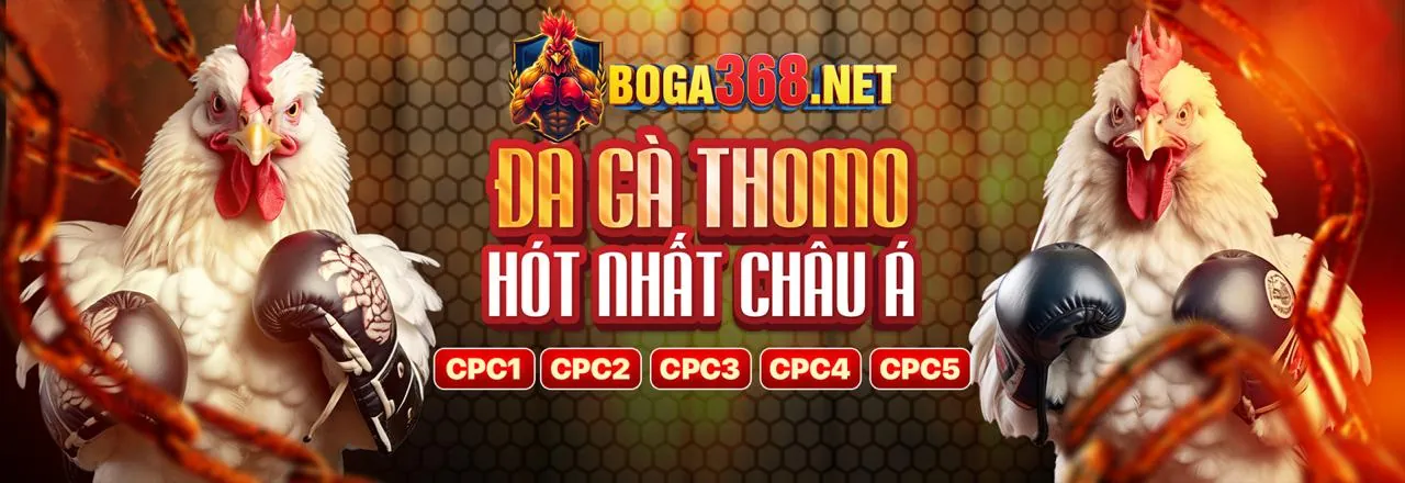 Ưu đãi hoàn trả hàng tuần cho người chơi thể thao